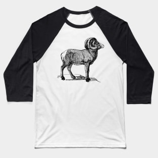 Bighorn Baseball T-Shirt